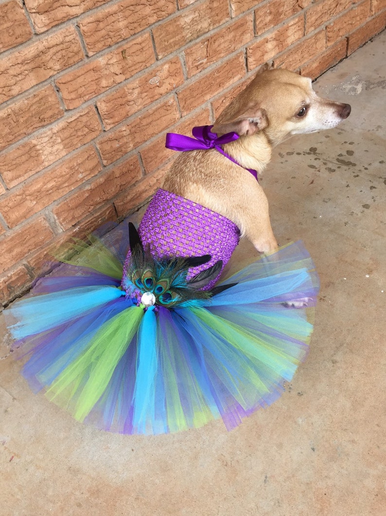 Dog Wedding Dress Pageant Show Dog Dress Dog Tutu Dress Etsy