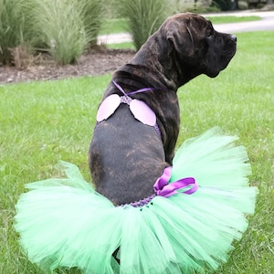 XL mermaid dog costume, mermaid dog tutu, mermaid dog, bikini shells, mermaid tutu for dogs, Halloween dog costume, big dog tutu