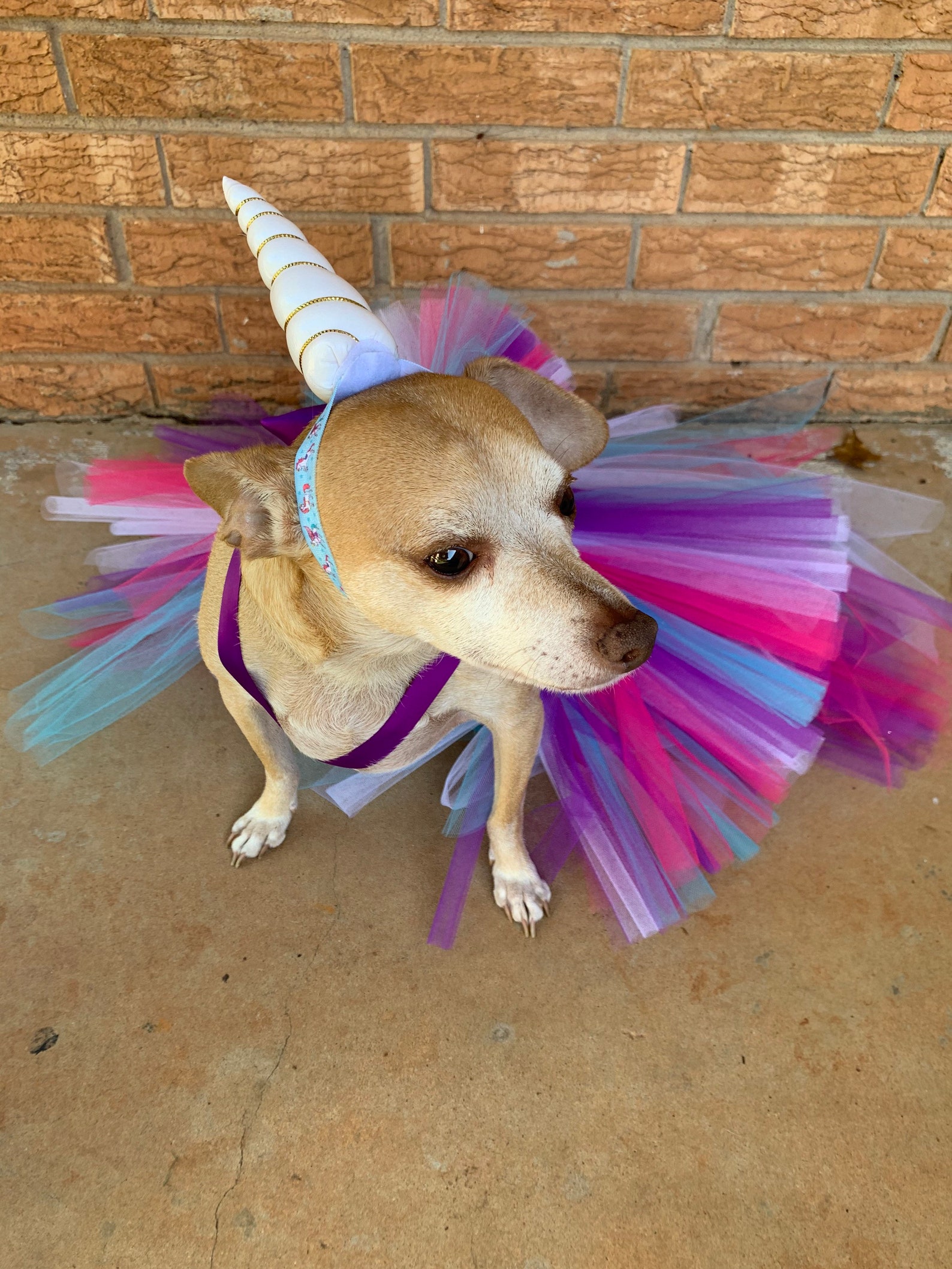 Dog Unicorn Costume Dress Pageant Show Dog Dress Dog Tutu Etsy