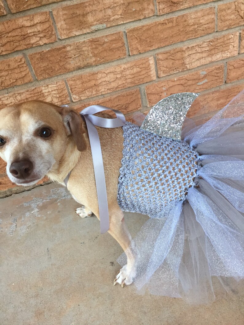 HaiKostüm für Hunde Hund Kostüm HalloweenIdeen Hund Tutu Etsy