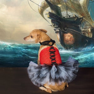 Pirate Dog Costume, pirate dog outfit, Dog pirate tutu, Dog costume, Halloween costume for dogs, Pirate dress, pirate costume, wench dog