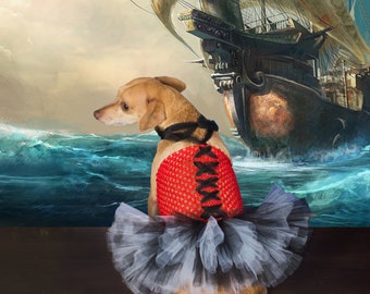Pirate Dog Costume, Pirate Dog Outfit, Dog Pirate Tutu, Dog