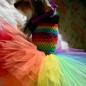 Rainbow dog tutu, rainbow pet tutu, rainbow dog dress, rainbow dress, halloween costume for dogs, rainbow party, rainbow dog