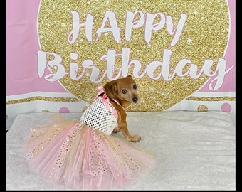 Dogs birthday Princess dress, cat birthday, pink princess dog dress, dog birthday outfit, birthday dog hat, pet birthday