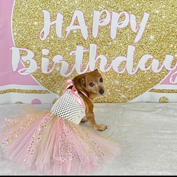 Dogs birthday Princess dress, cat birthday, pink princess dog dress, dog birthday outfit, birthday dog hat, pet birthday