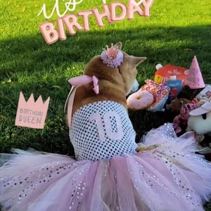 Dog birthday Tutu dress outfit , cat birthday dress, dog dress, dog birthday outfit, pet birthday, customize dog dress clothes