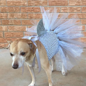 shark costume for dogs, dog costume, halloween ideas, dog tutu, dog dress, dog shark, shark for dogs