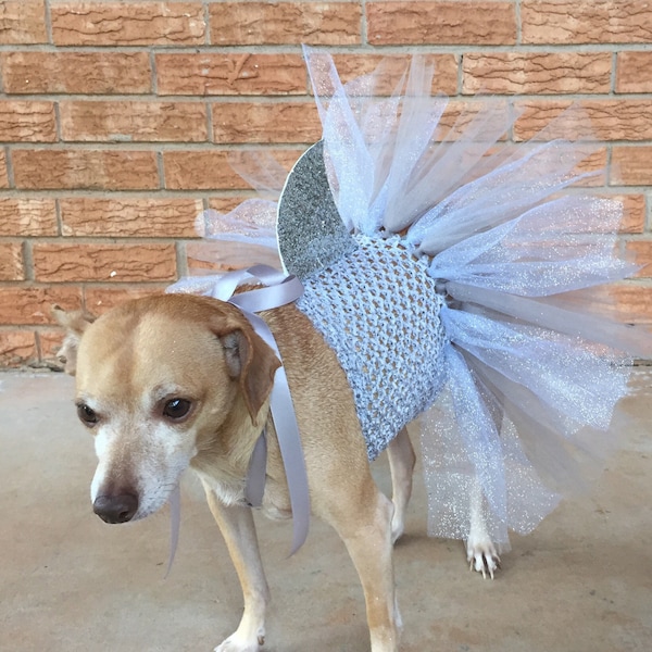 shark costume for dogs, dog costume, halloween ideas, dog tutu, dog dress, dog shark, shark for dogs