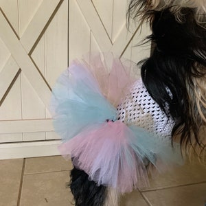 birthday dog outfit, cat birthday, mint and pink dog dress, dog birthday outfit, birthday doggy, pet birthday image 8