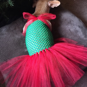 Christmas dog tutu, Christmas dog outfit, Christmas dog, dog holiday outfit, Christmas outfit, holiday dog dress, red and green dog outfit