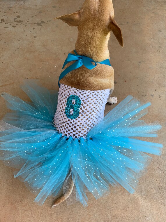 dog birthday dress