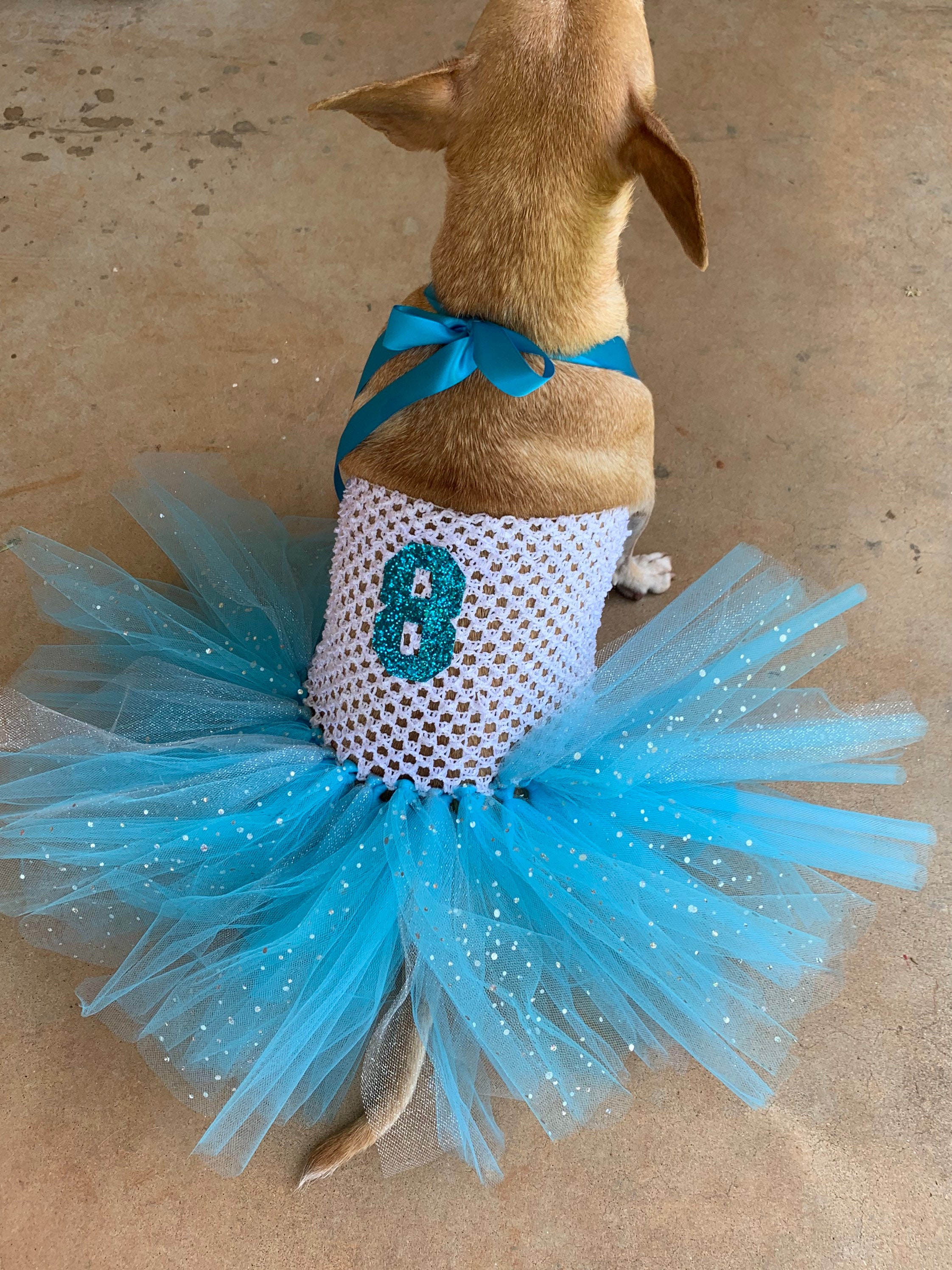 Dog Birthday Tutu Dress Outfit , Cat Birthday Dress, Dog Dress, Dog Birthday Outfit, Pet Birthday - Etsy Dog Birthday Tutu Dress Outfit , Cat Birthday Dress, Dog Dress, Dog Birthday Outfit, Pet Birthday - Etsy