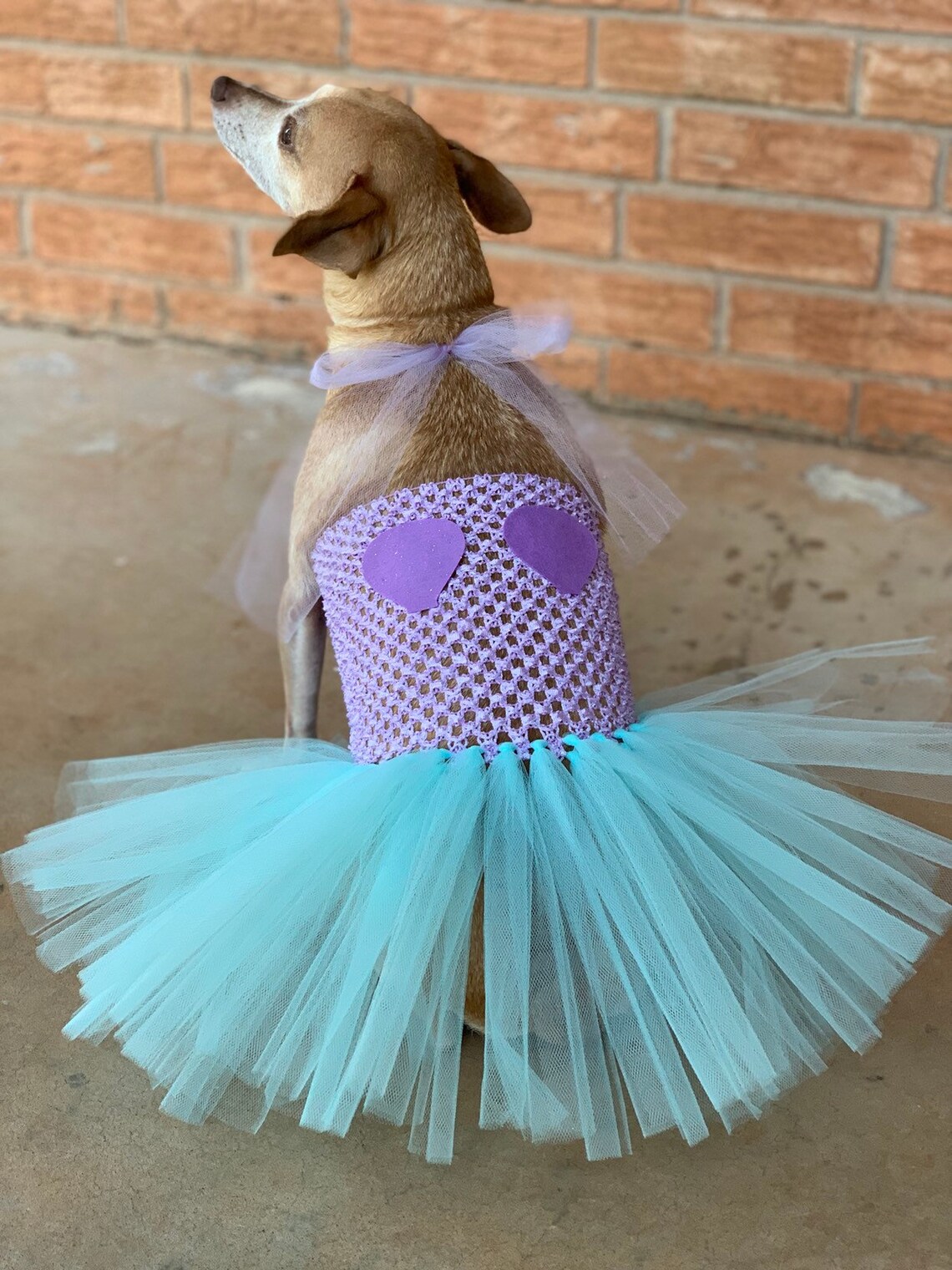 Mermaid dog costume merdog Halloween Dog costume dog Etsy