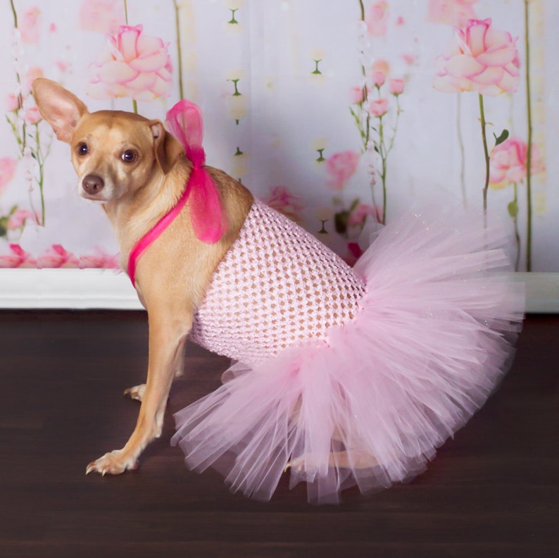 Pink Dog Tutu Princess Dog Tutu Dog Princess Costume Pink Etsy
