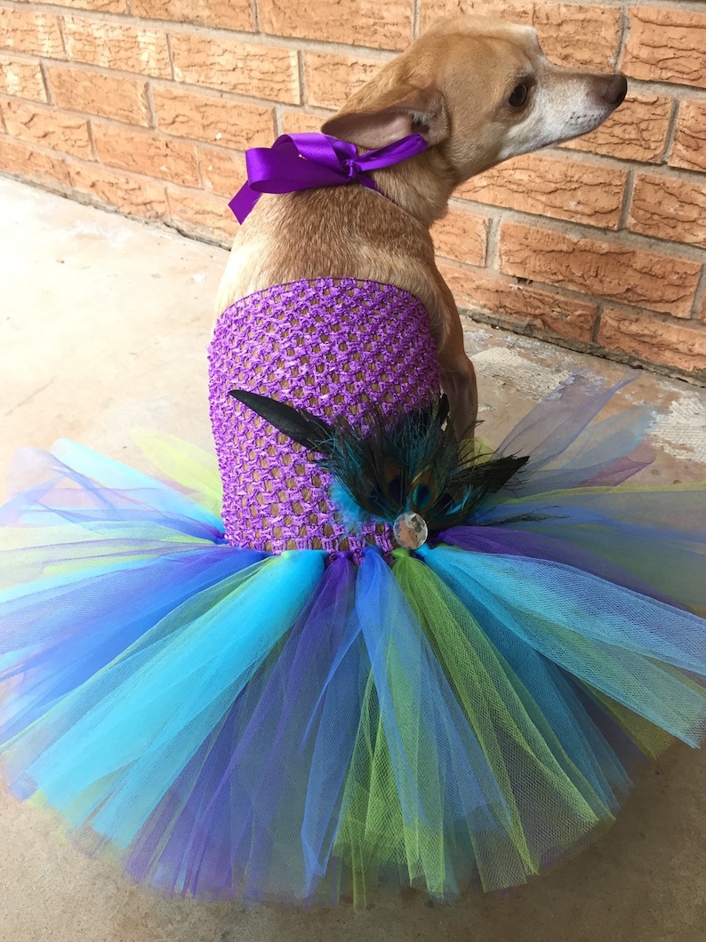 Dog Wedding Dress Pageant Show Dog Dress Dog Tutu Dress Etsy