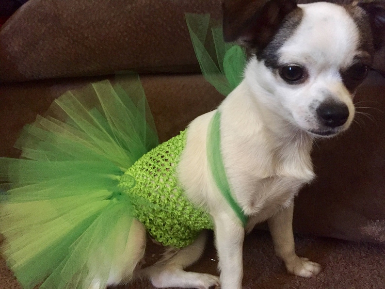 st paddys day themed dog names
