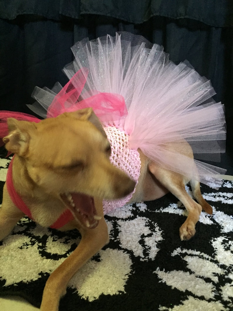 Pink Dog Tutu Princess Dog Tutu Dog Princess Costume Pink Etsy