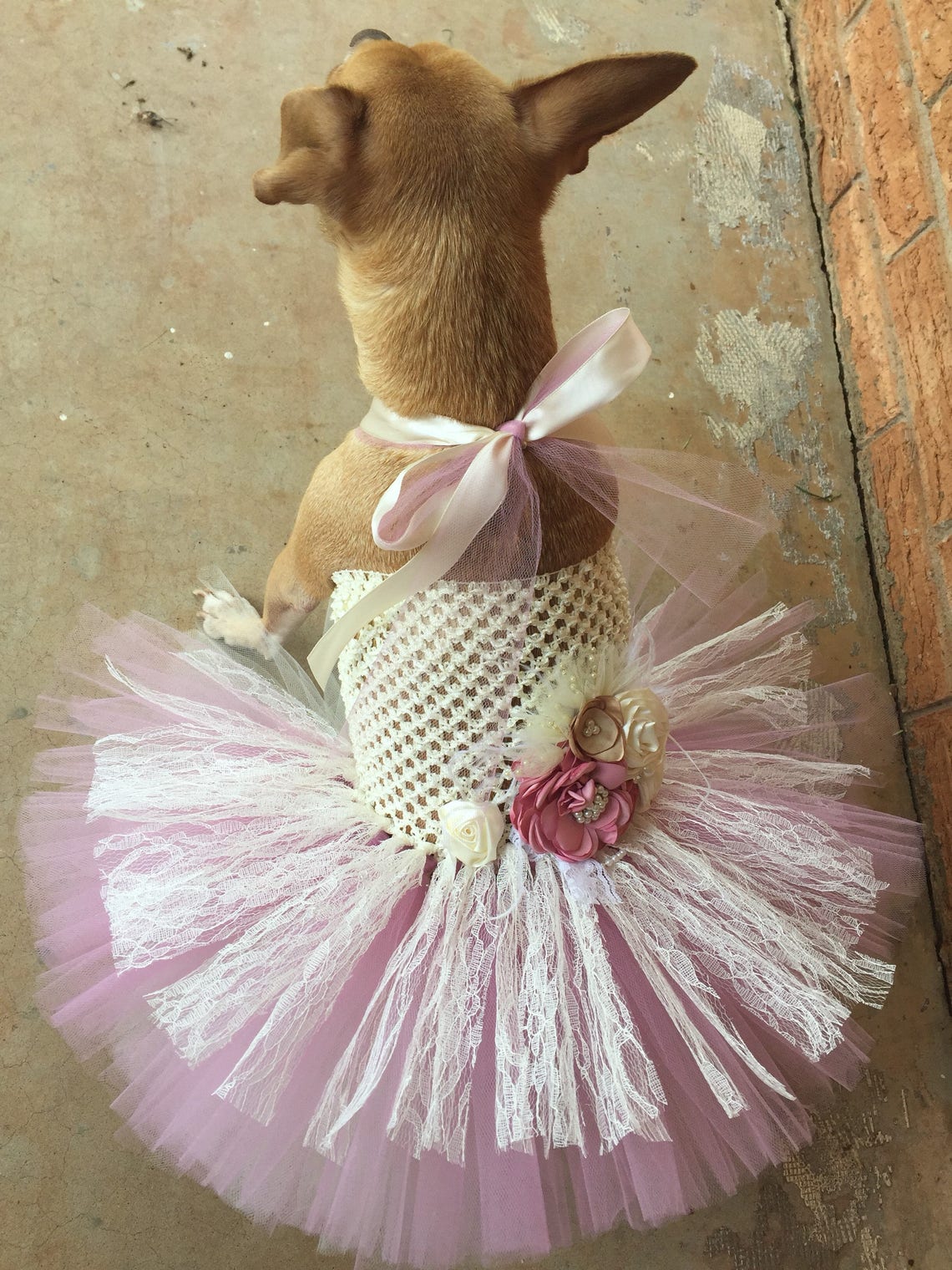 Fancy Dog Dress Pageant Show Dog Dress Southern Belle Dog Etsy