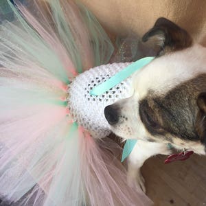 birthday dog outfit, cat birthday, mint and pink dog dress, dog birthday outfit, birthday doggy, pet birthday image 3