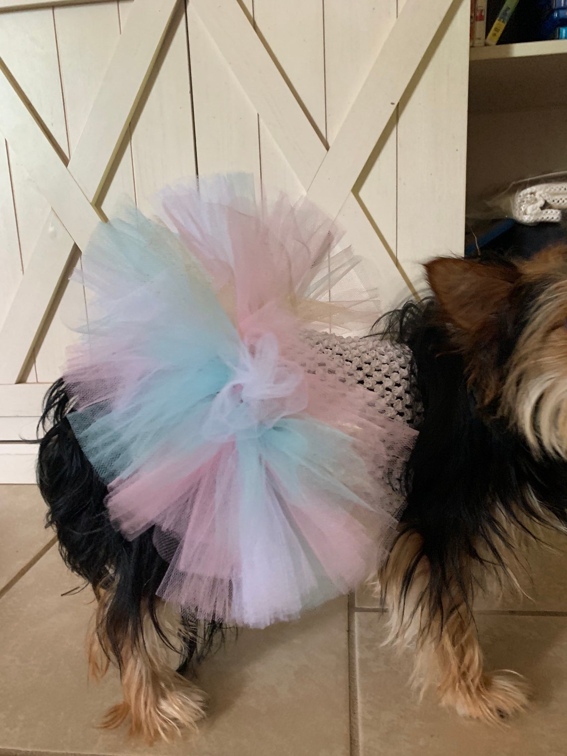 Birthday Dog Outfit Cat Birthday Mint and Pink Dog Dress Etsy