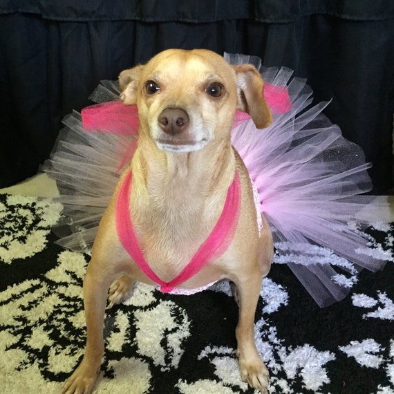 Pink Dog Tutu Princess Dog Tutu Dog Princess Costume Pink 