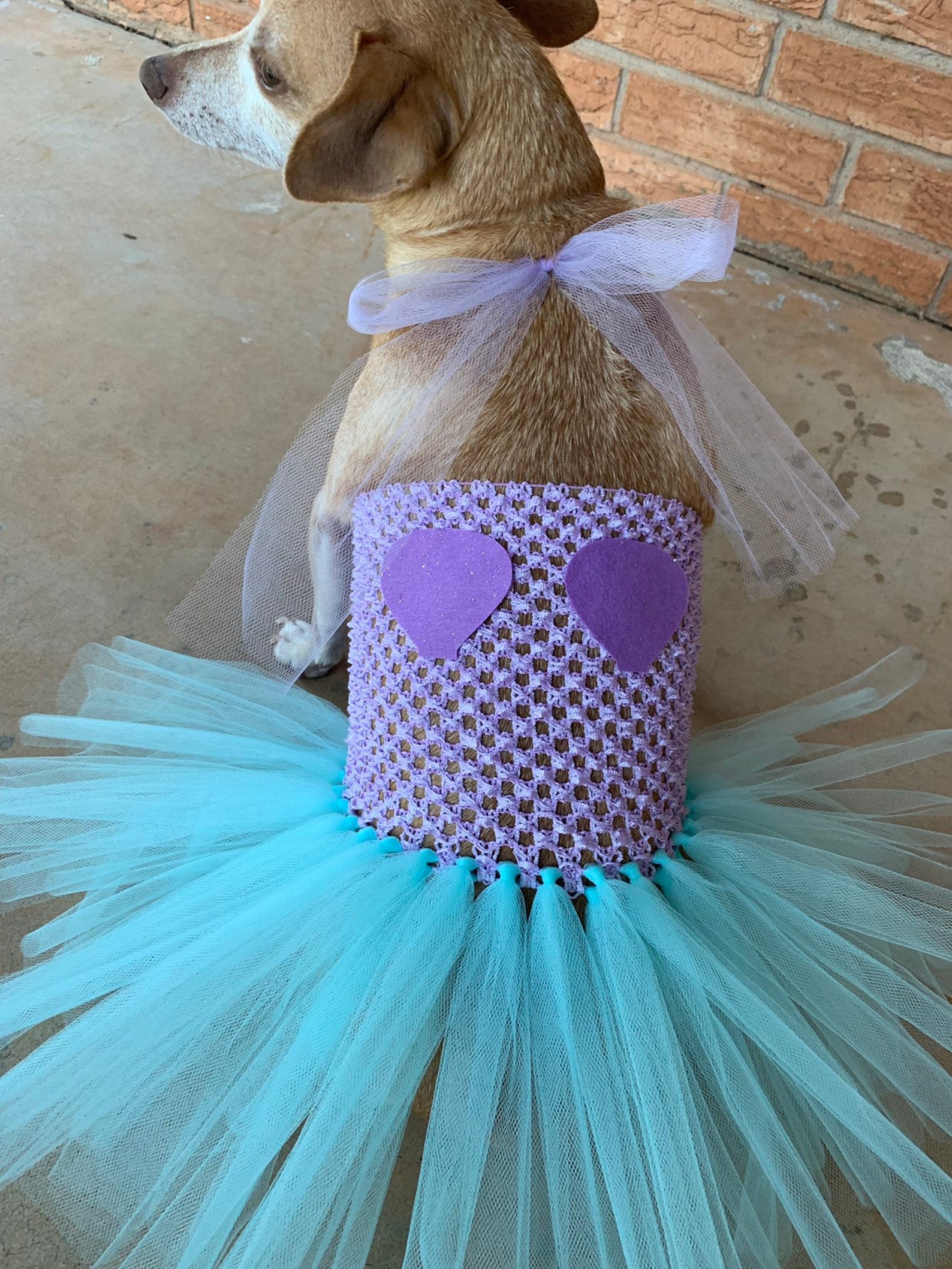 Mermaid Dog Costume Merdog Halloween Dog Costume Dog Etsy
