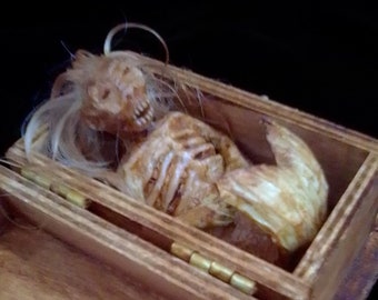 Baby Feefee Mermaid in box sideshow gaff freak
