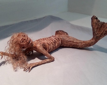 Feejee  fiji Mermaid Sideshow gaff freak 12 inches