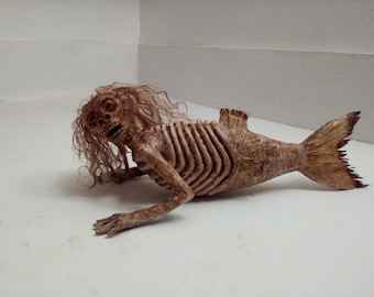 Feejee fiji Mermaid Sideshow gaff freak 8.75 inches