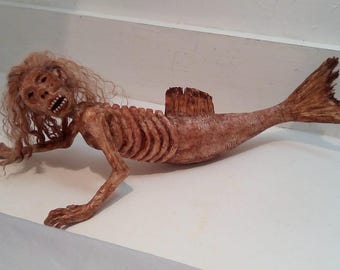 Feejee  fiji Mermaid Sideshow gaff freak 15 inches