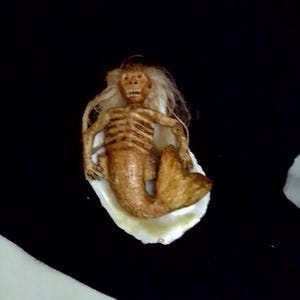 Feejee Fiji mermaid on oyster shell 2.75 inches miniature sideshow freak gaff fish creature oddity
