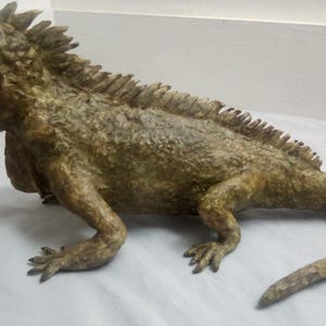 Iguana Man, fenomeno da baraccone
