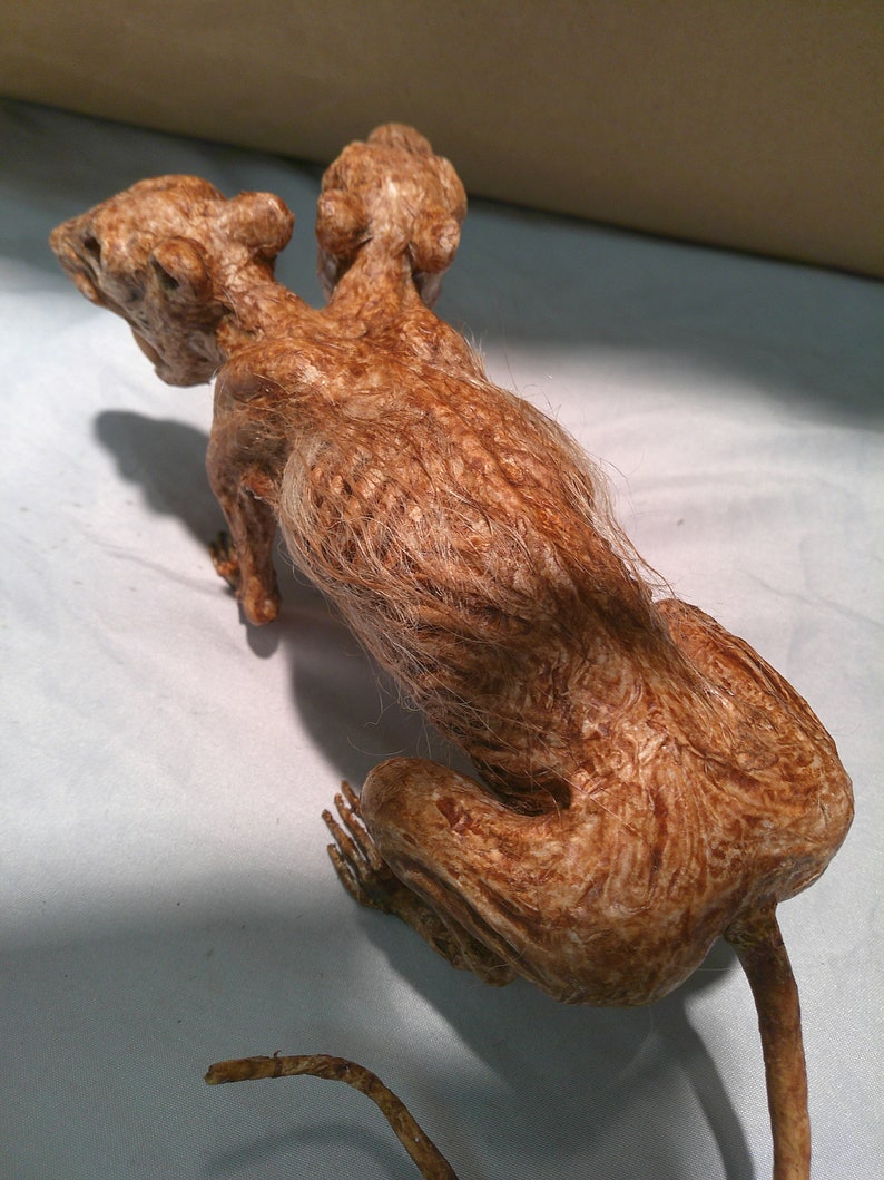 Two Headed Rat Sideshow Gaff Freak Cryptid Figure Gothic Creature ...
