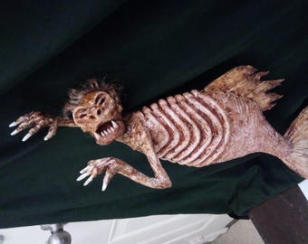 Feejee  fiji Mermaid Sideshow gaff freak 14.25 inches