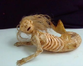 Feejee Fiji Mermaid 5 inches long sideshow freak gaff sea creature fish creature oddity circus weird unique cryptid unusual museum creepy