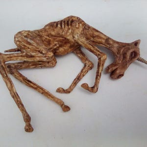 Unicorn Fetus Sideshow gaff freak