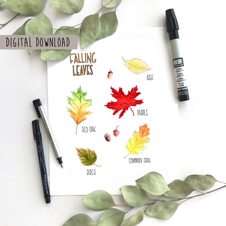Tumble Leaves Printable. Slide Artwork. Drop Print. Leaves Artwork. Drop Leaves Artwork. Autumn Print. Satisfied Slide. Slipping Leaves. Leaf Artwork. Drop Decor photo relating to Fall Leaves Printable identify Tumble Leaves Printable. Slide Artwork. Tumble Print. Leaves Artwork. Drop Leaves Artwork. Autumn Print. Pleased Slide. Slipping Leaves. Leaf Artwork. Slide Decor