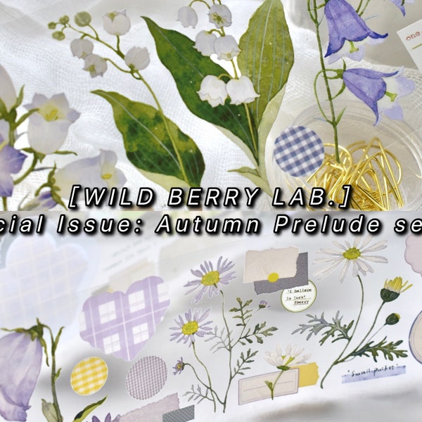 Wildberry Lab | vol.4.5 high quality PET masking tape samplers - perfect for TN/journal/planner/album/crafting/scrapbook/home deco
