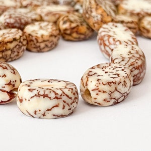 Flat Oval Nut Beads Salwag Natural