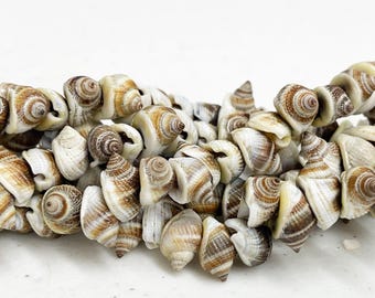 Natural Frog Shell Beads: Cream & Brown 16" Strand