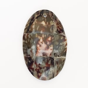 Limpet shell pendant Oval