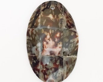 Limpet shell pendant Oval