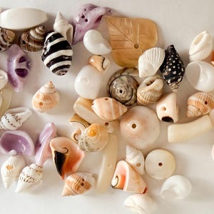 May include: A collection of assorted seashells and shell beads in various shapes, sizes, and colors including white, tan, brown, black, and purple. Many of the shells feature natural patterns, textures, and pre-drilled holes for crafting purposes.