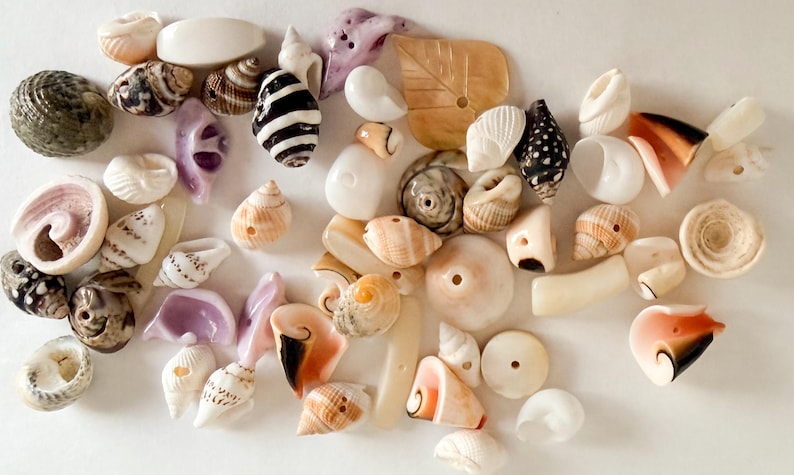 May include: A collection of assorted seashells and shell beads in various shapes, sizes, and colors including white, tan, brown, black, and purple. Many of the shells feature natural patterns, textures, and pre-drilled holes for crafting purposes.