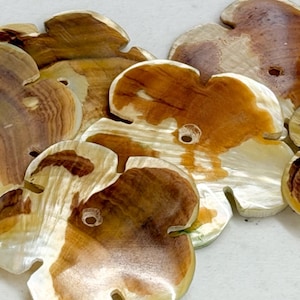 May include: A collection of flower-shaped shell beads. The beads have a natural, organic look with a mix of brown, cream, and tan colors. Each bead has a small hole in the center, suggesting they are for jewelry making or crafts.