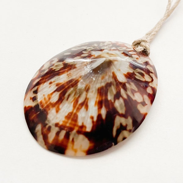 Limpet Shell Large Pendant 50+mm