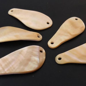 Könnte beinhalten: Fünf perlmuttweiße Muschelschalen mit einer tropfenförmigen Form und jeweils zwei Löchern. Die Muscheln sind auf einer schwarzen Oberfläche angeordnet.