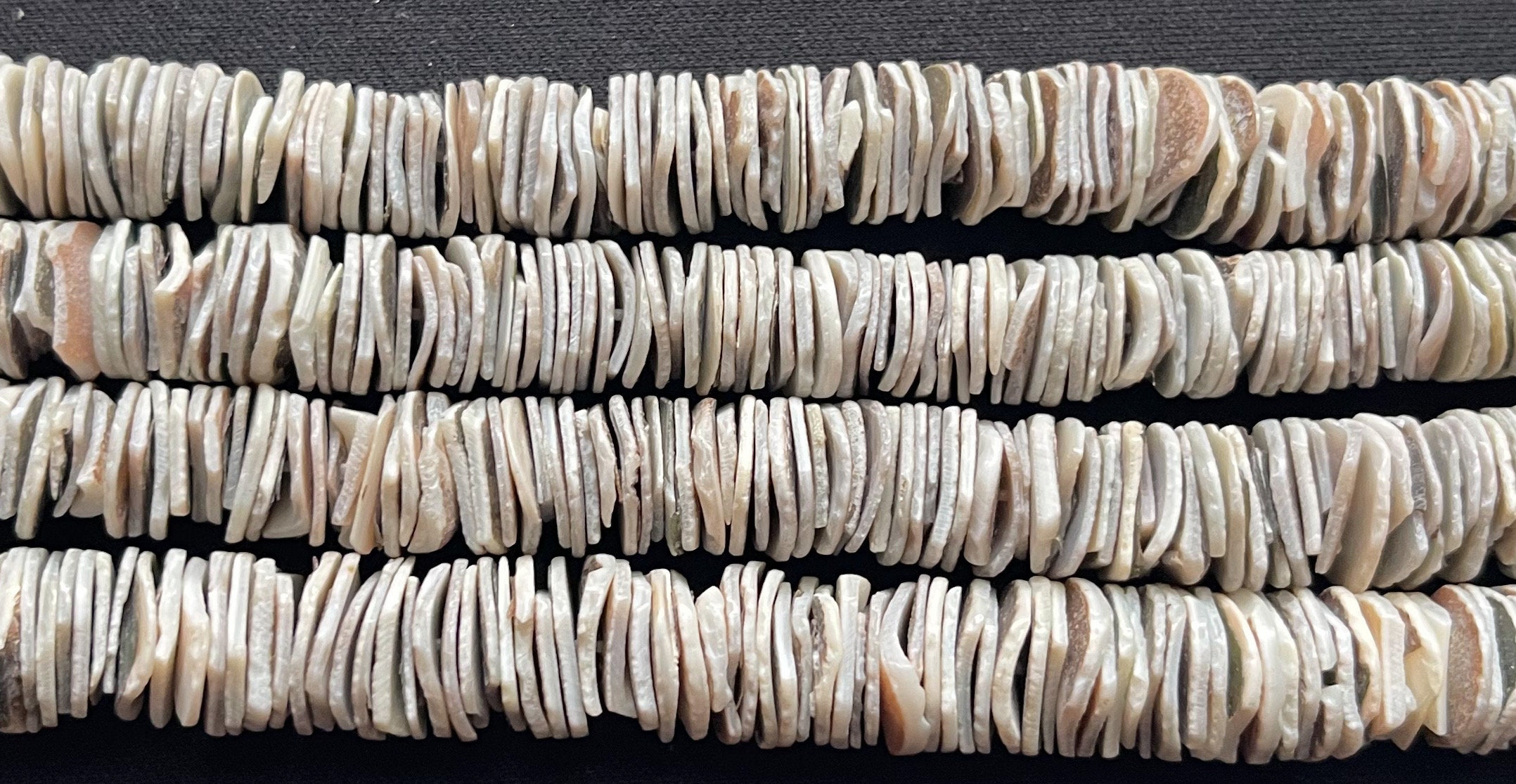Green Shell Chips 10mm 24 Inch Strand - Etsy