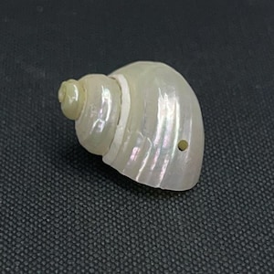 May include: A pearlescent white seashell with a spiral shape and a small hole. The shell has a smooth, iridescent surface with subtle pink and purple hues. The shell is on a dark, textured surface.