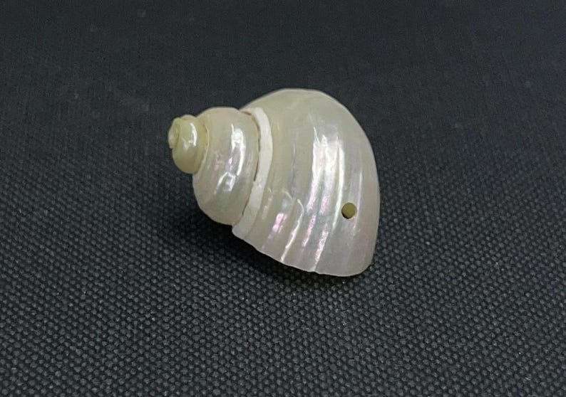 May include: A pearlescent white seashell with a spiral shape and a small hole. The shell has a smooth, iridescent surface with subtle pink and purple hues. The shell is on a dark, textured surface.